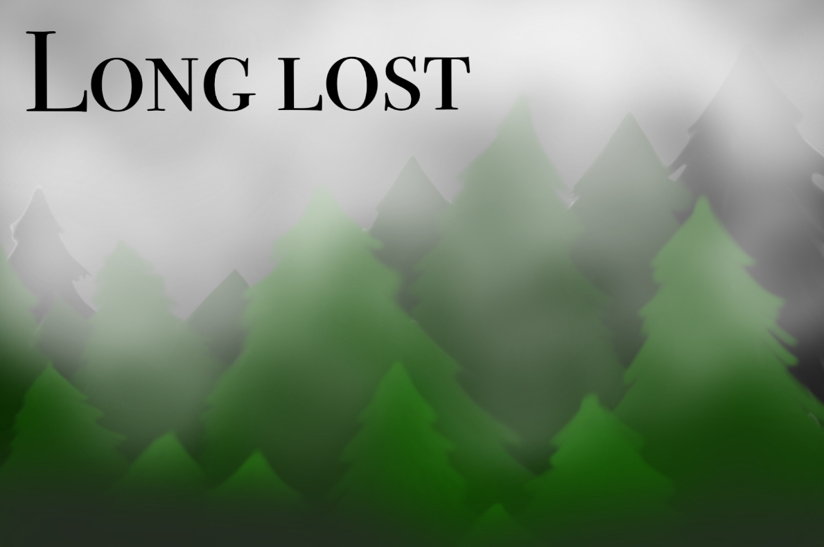 Cover image for Long Lost