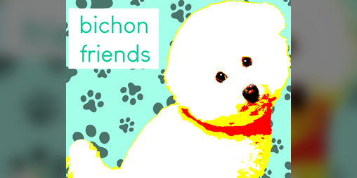 Cover image for bichon friends