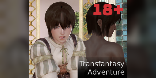 Cover image for Transfantasy Adventure
