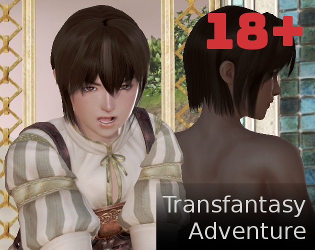 Cover image for Transfantasy Adventure