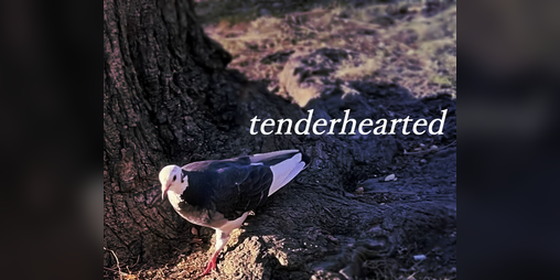 Cover image for tenderhearted