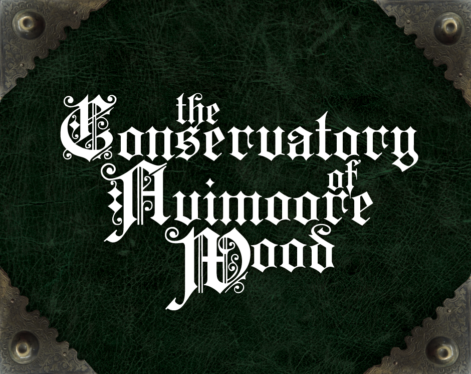 Cover image for The Conservatory of Avimoore Wood: Student Handbook