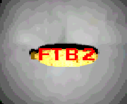 Cover image for Find The Bananas 2