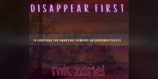Cover image for disappear first