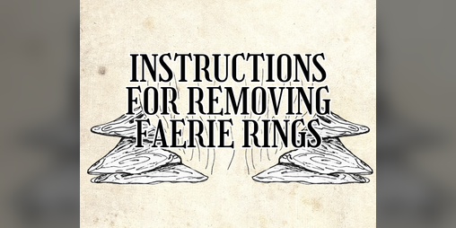 Cover image for Instructions For Removing Faerie Rings