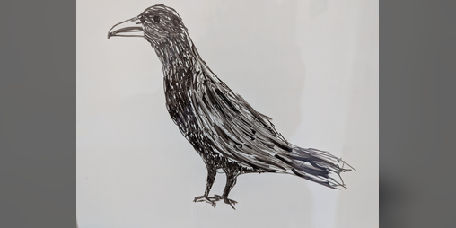Cover image for how to feed a crow