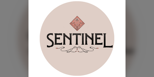 Cover image for Sentinel
