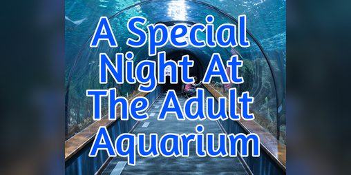 Cover image for A Special Night At The Adult Aquarium: Demo