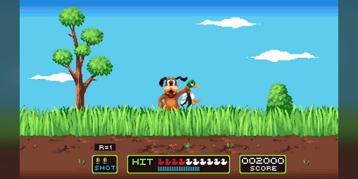Cover image for Super Duck Hunt