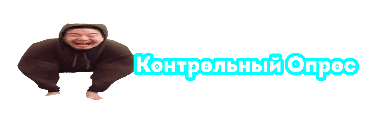 Контрольный Опрос