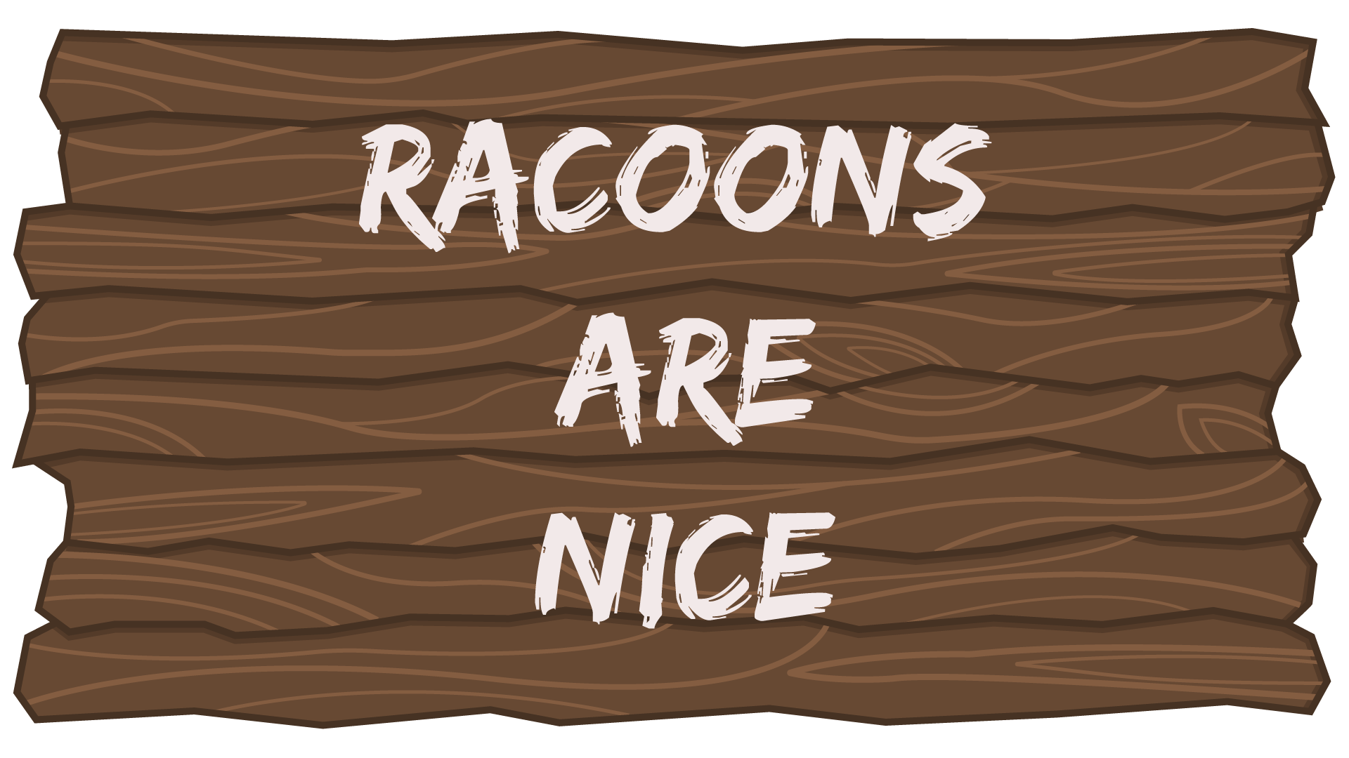 Racoons are Nice