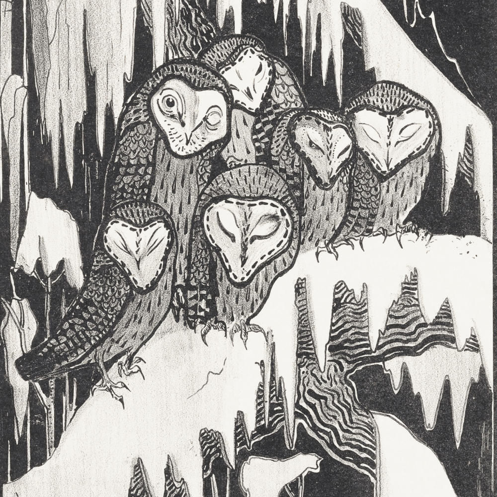 Cover image for The Cold Realm Within