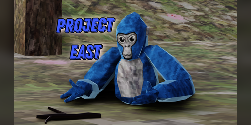 Cover image for Project East