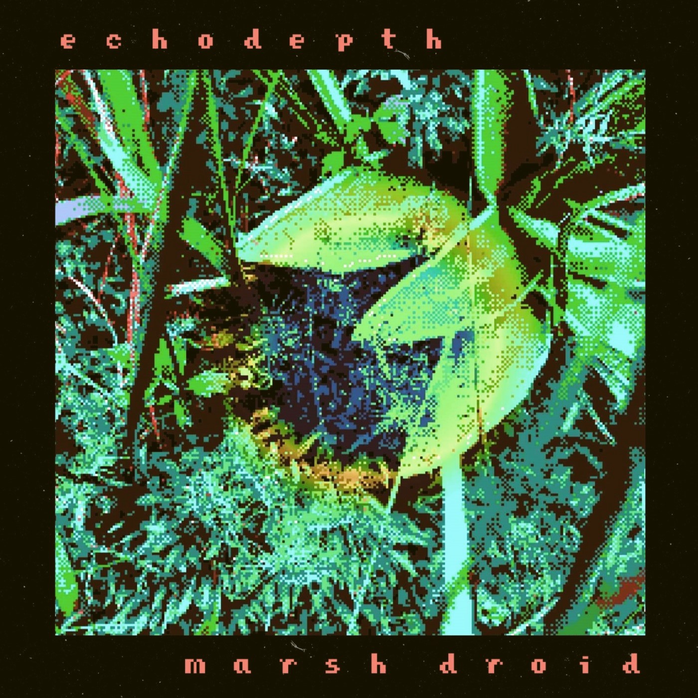 Echodepth - Marsh Droid