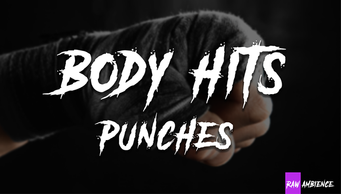 Body Hits and Punches Sound Effects