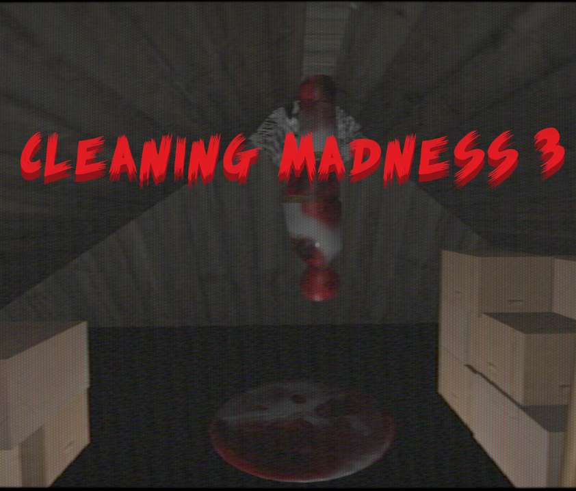 Cleaning-Madness 3 cover