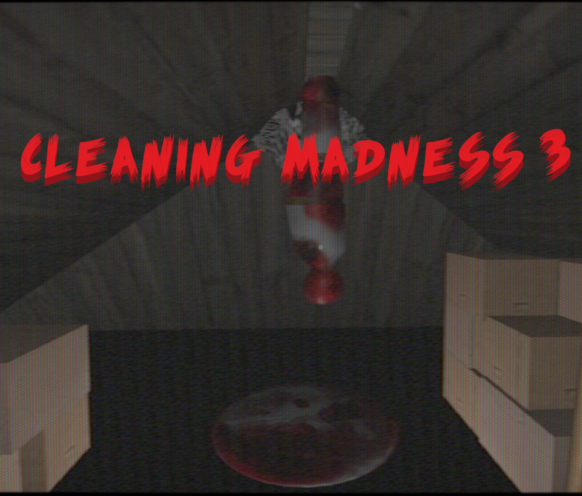 Cleaning-Madness 3