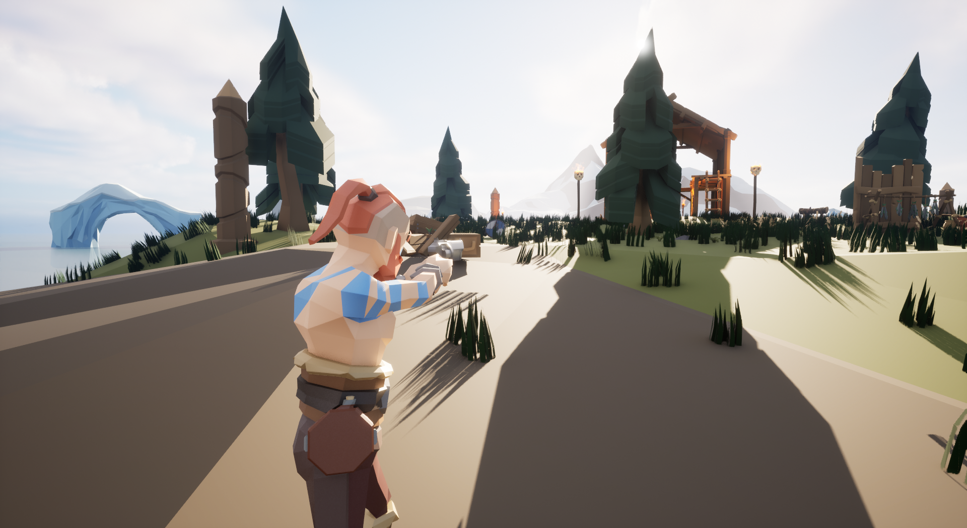 Cover image for Viking Survival