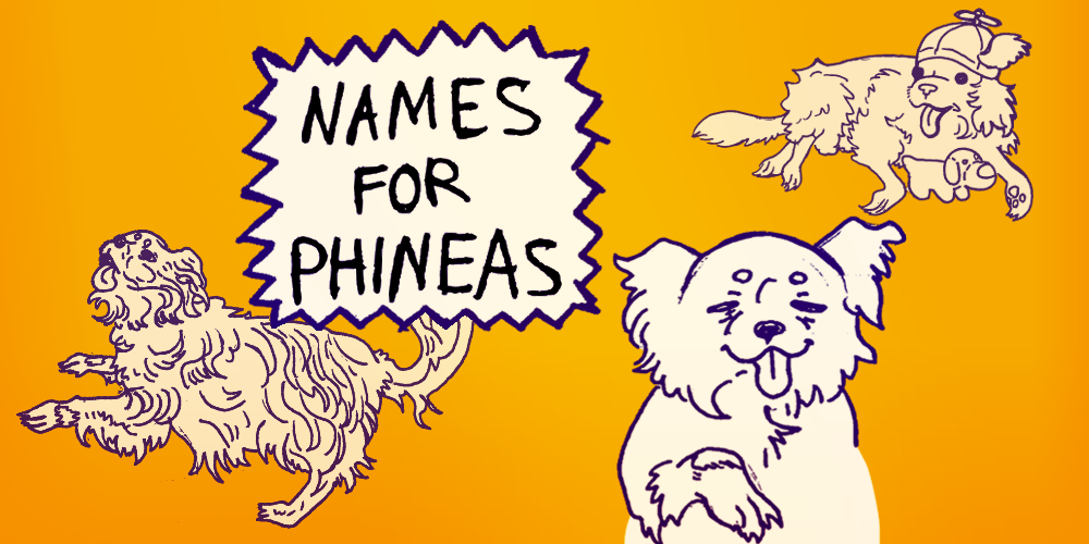 Names For Phineas (zine)