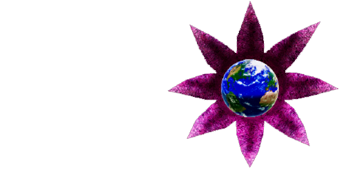 Stars Die