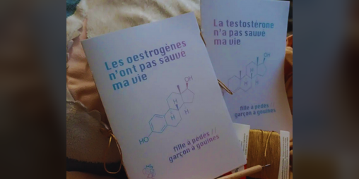 Cover image for La transition n'a pas sauvé ma vie