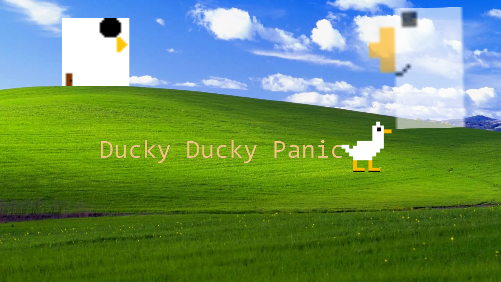 DuckyDuckyPanic