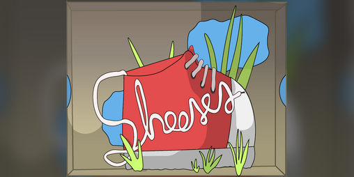 Cover image for Shooses