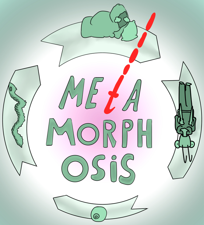 Cover image for Metamorphosis - Sequential Storytelling