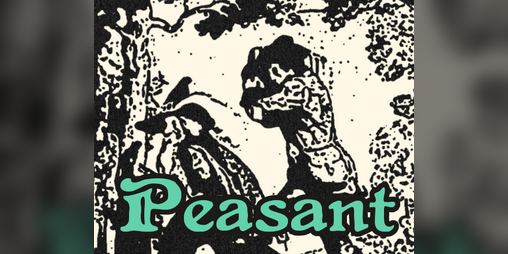 Cover image for Peasant