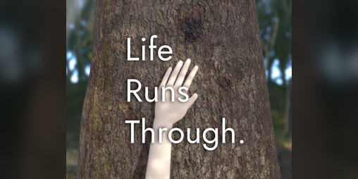 Cover image for Life Runs Through