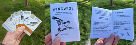 Portada de Wingwise