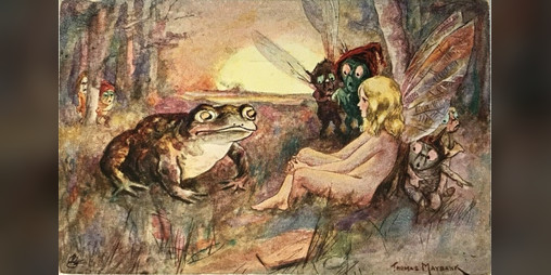 Cover image for Cairn: Toad-Merchant