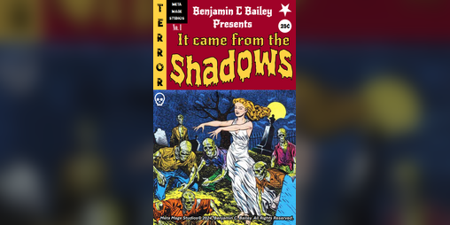 Cover image for It Came from the Shadows No. 1