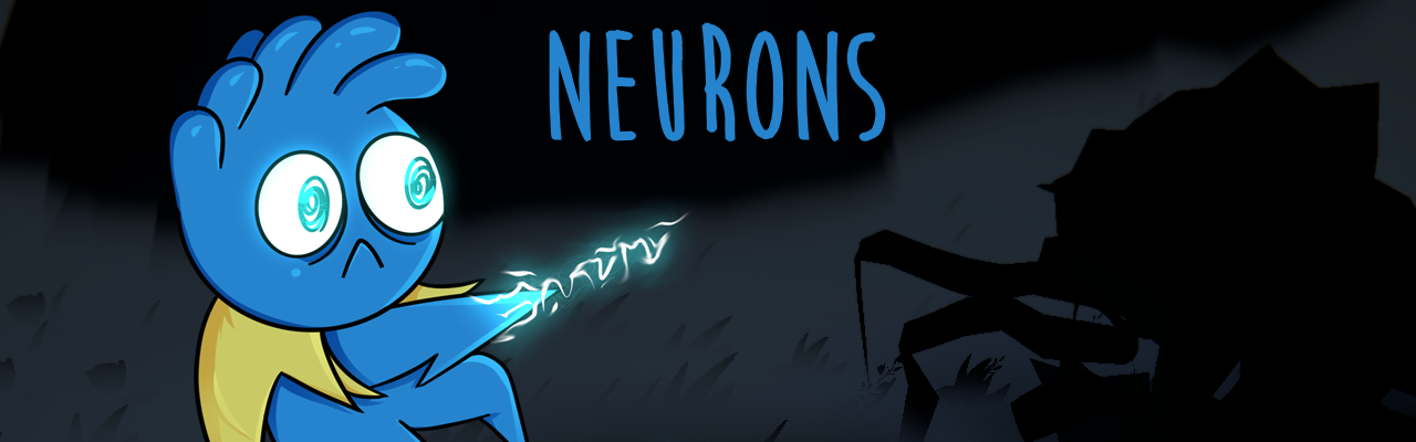 Neurons