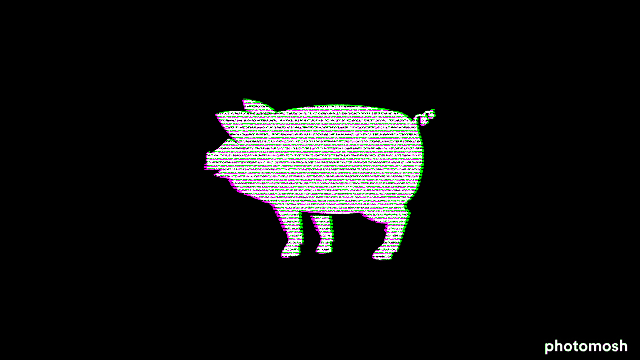 Cover image for PIGGY