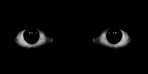 Cover image for Horror button