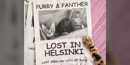 Cover image for Purry & Panther: Lost in Helsinki