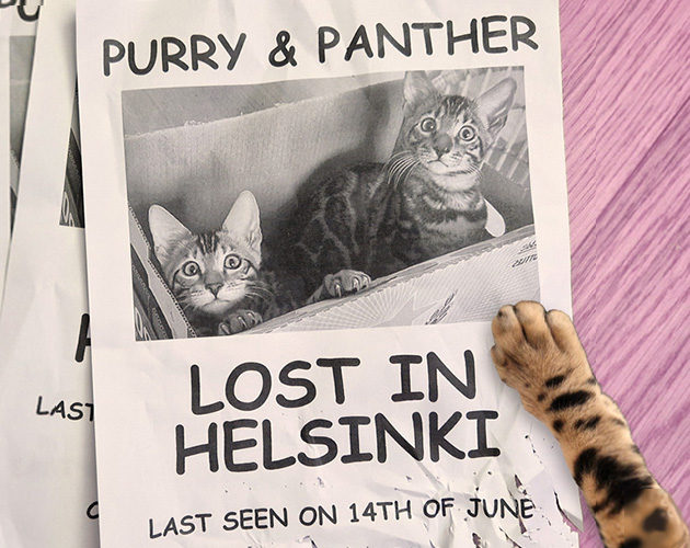Cover image for Purry & Panther: Lost in Helsinki