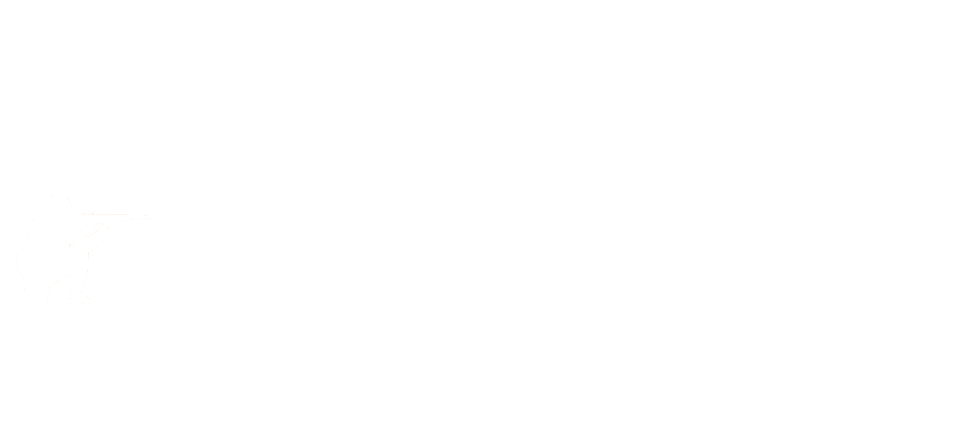 Breach