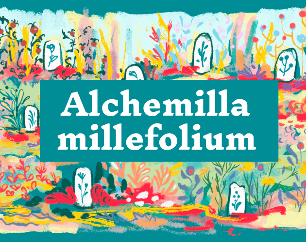 Cover image for Alchemilla millefolium