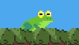 Cover image for Frogventure