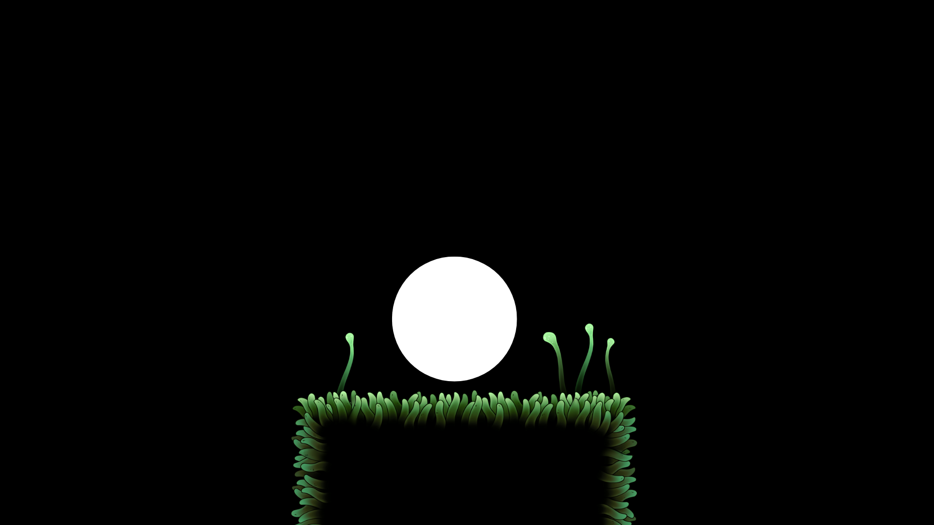 Cover image for Need More Light