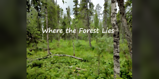 Cover image for Where the Forest Lies