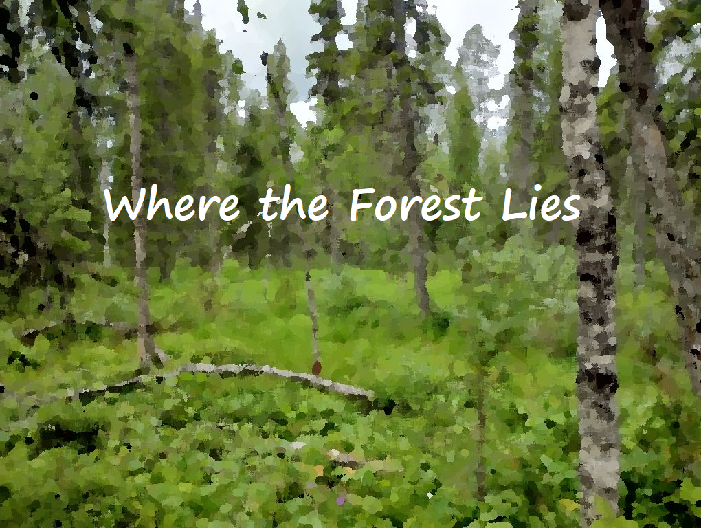 Where the Forest Lies cover