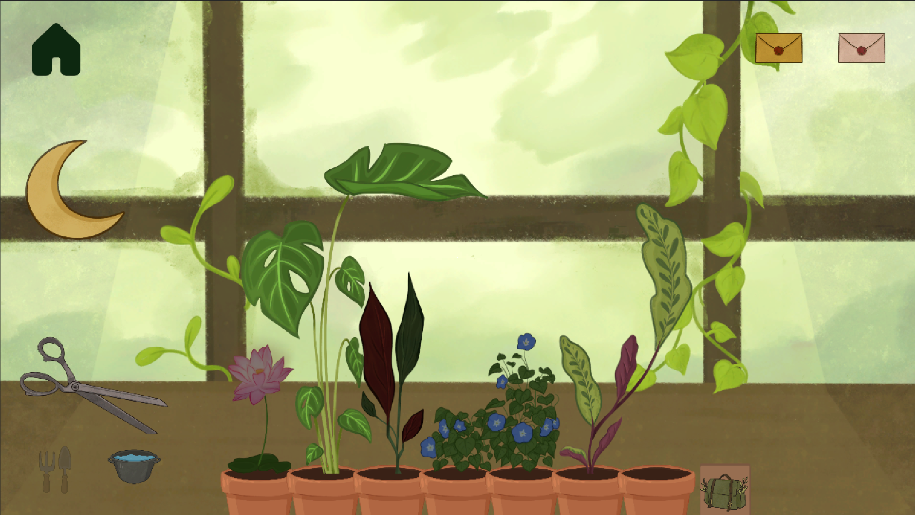 Cover image for Shagrow