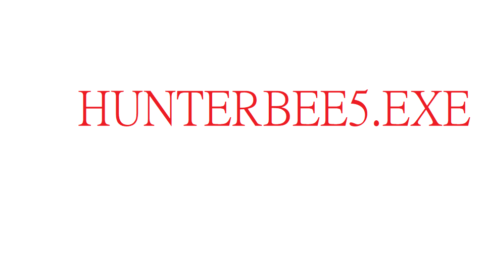 HunterBee5.EXE