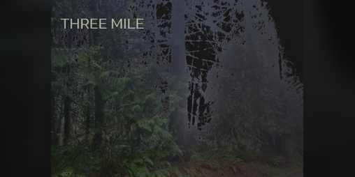 Cover image for Three Mile