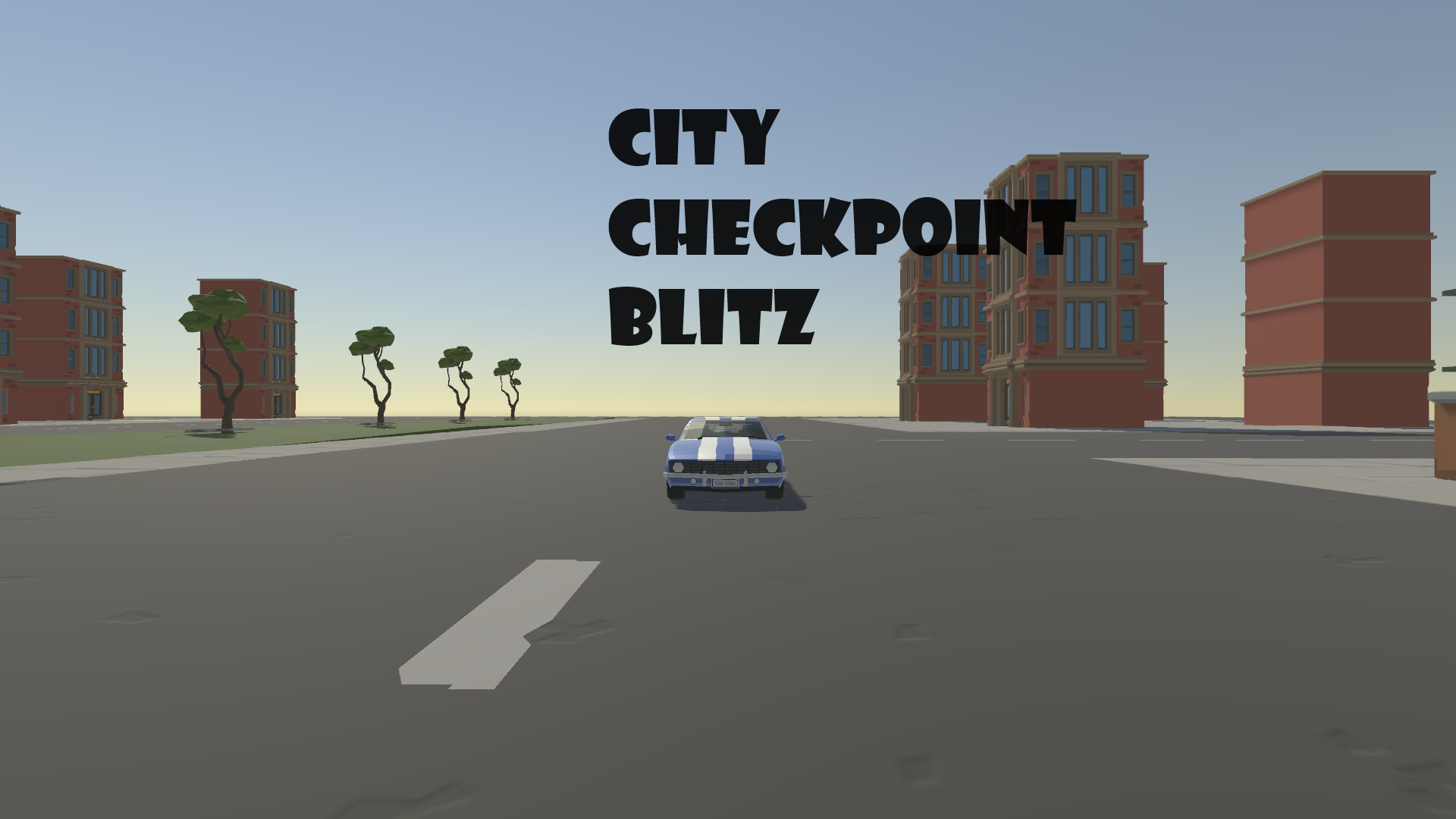 City Checkpoint Blitz