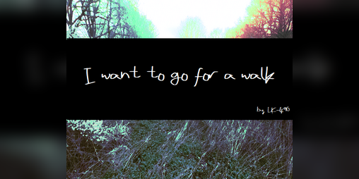 Cover image for I want to go for a walk