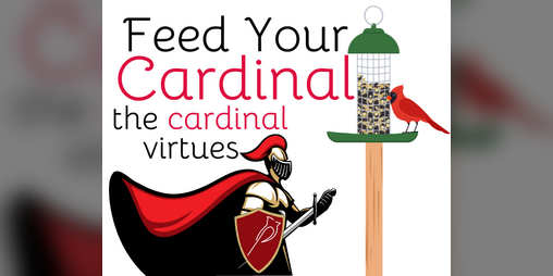 Cover image for Feed Your Cardinal